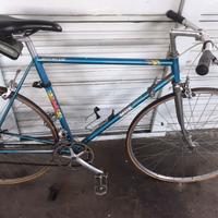 Bici colnago master
