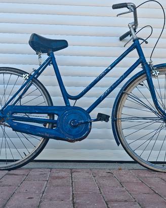 bicicletta con freni a bacchetta 