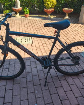 bicicletta uomo