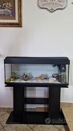Acquario completo
