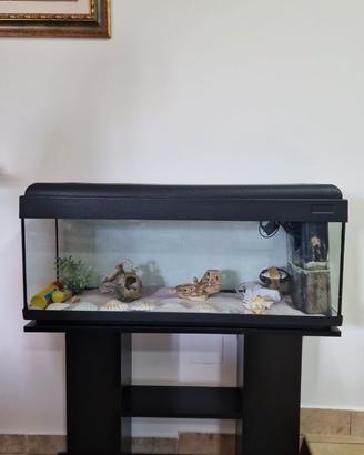 Acquario completo