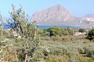 Terreno edificabile