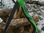 Immagine 4