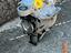 Immagine 2