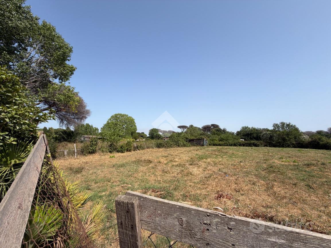 TER. AGRICOLO A ROMA - Mehr