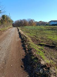 Terreno con castagni pianeggiante,cave