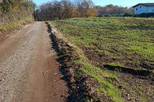 Terreno con castagni pianeggiante,cave