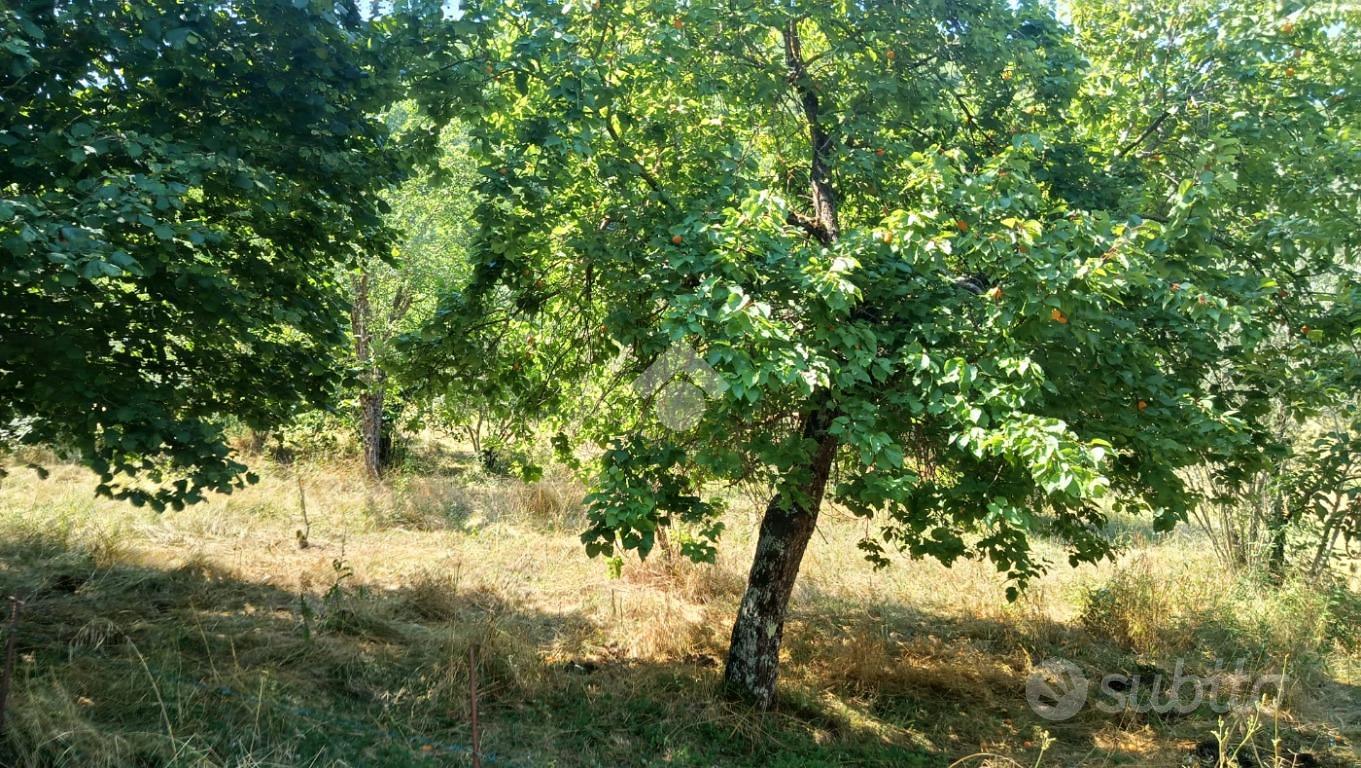 TER. RESIDENZIALE A ALATRI - Altro