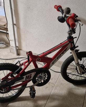 bicicletta bambino 