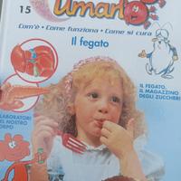 esplorando il corpo umano