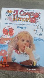 esplorando il corpo umano