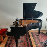 Piano coda Bechstein pianoforte