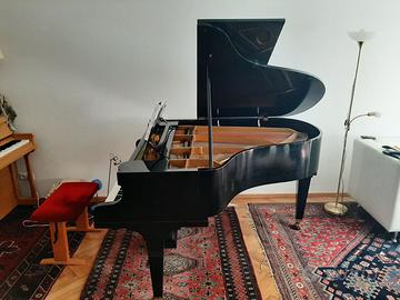 Piano coda Bechstein pianoforte