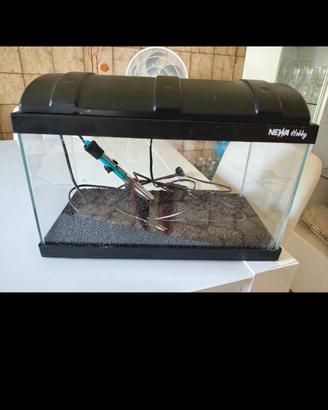 acquario completo di tutto + pesci