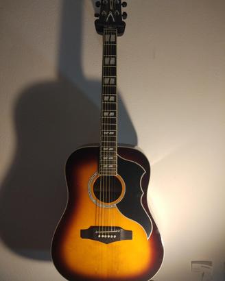 Chitarra Acustica elettrificata EKO RANGER VI VR