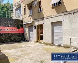 Locale Commerciale con Canna Fumaria