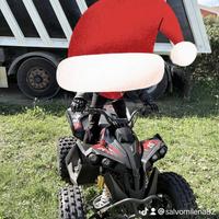 Altro Altro modello - 2025