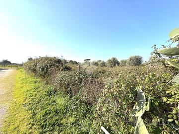 TER. RESIDENZIALE A NETTUNO