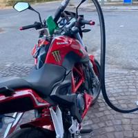 Benelli BN251