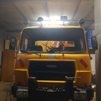 Autocarro fresia con gru e ribaltabile