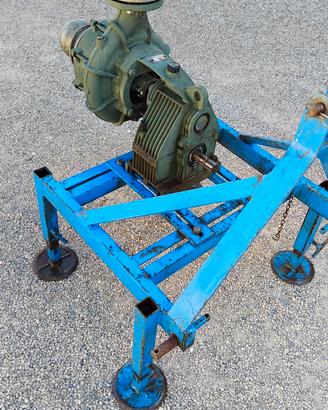 Pompa per irrigazione caprari 2 giranti