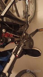 Bmc in carbonio elettica 750