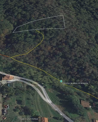 Terreno boschivo / castagneto ad Artegna