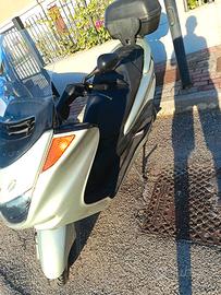 majesty 250