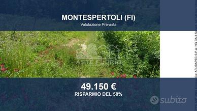 Immobile in asta di 21514 m² a Montespertoli