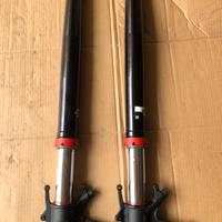 Forcelle originali superduke r 1290 2021