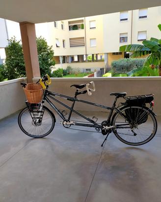 Tandem FUJI