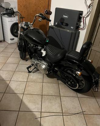 HARLEY DAVIDSON SOFTEIL STANDARD