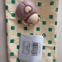 Coccinella thun bauli