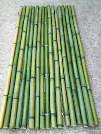 Canne di bamboo varie misure e diametri