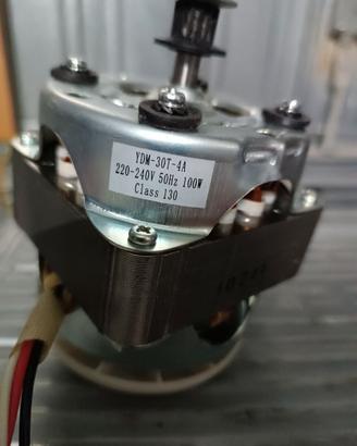 Motore elettrico  220V