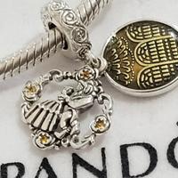 charm bella e la bestia 