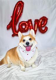 Bandane per cani fatte a mano