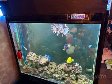 Acquario marino 400 litri completo