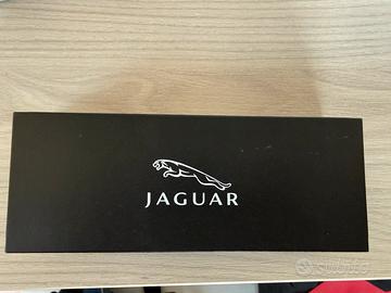Penna stilografica Jaguar