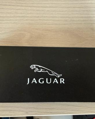 Penna stilografica Jaguar