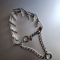 Collare c punte addestramento cane cani sprenger