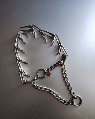 Collare c punte addestramento cane cani sprenger