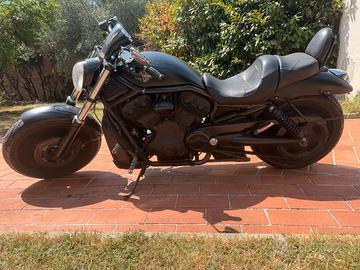 MERAVIGLIOSA HARLEY-DAVIDSON  V-ROD