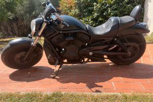MERAVIGLIOSA HARLEY-DAVIDSON  V-ROD