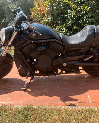 MERAVIGLIOSA HARLEY-DAVIDSON  V-ROD