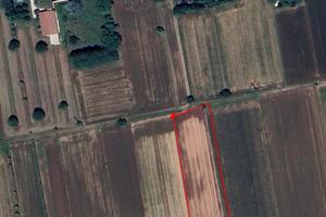 Vendita terreno agricolo - loc. Pozzetto