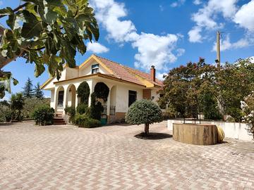 Terreno con villa, piscina, uliveto