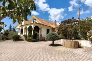 Terreno con villa, piscina, uliveto