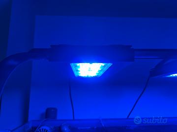 Lampada Ecotech Radion