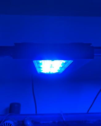 Lampada Ecotech Radion